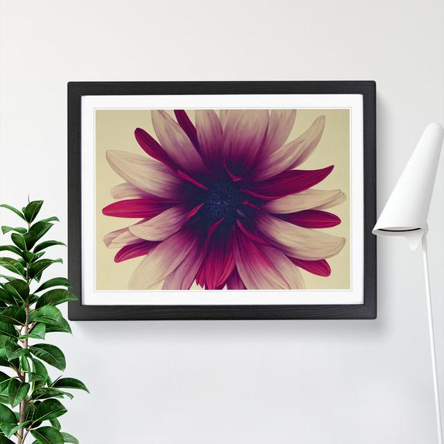 Bold Flower - Picture Frame Graphic Art 17 Stories Size: 25cm H x 34cm W x 2cm D, Frame Colour: Black Framed on Productcaster.