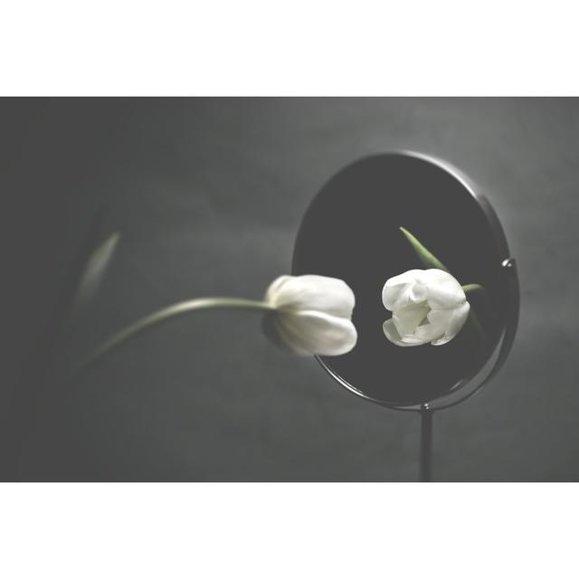 White Tulip by Francescoch - Wrapped Canvas Print Ebern Designs Size: 81cm H x 122cm W on Productcaster.