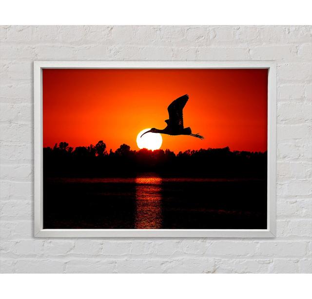 Bird Flying At Sunset - Print Ebern Designs Size: 100cm H x 141.4cm W x 3.3cm D on Productcaster.