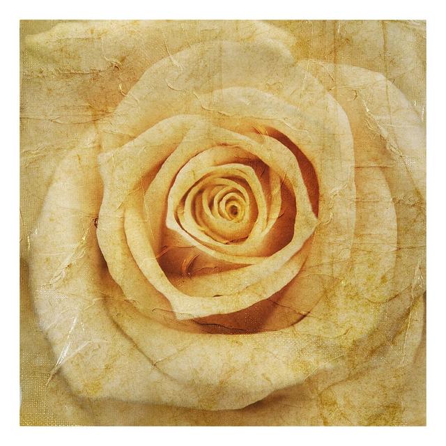 Vintage Rose - Wrapped Canvas Graphic Art Mercer41 Size: 70cm H x 70cm W on Productcaster.