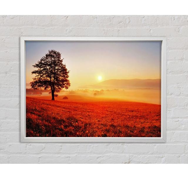 Herbstsonnenuntergang Felder - Druck Bright Star Größe: 84,1 cm H x 118,9 cm B x 3,3 cm T on Productcaster.