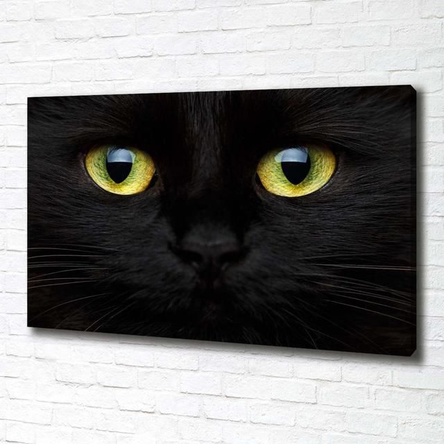 Cat's Eyes - Kunstdrucke auf Leinwand - Wrapped Canvas Brayden Studio on Productcaster.