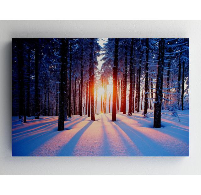 Sun Burst Snow Trees Leinwanddruck Alpen Home Größe: 34,3 cm H x 48,5 cm B on Productcaster.