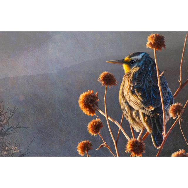 Meadowlark - Wrapped Canvas Art Prints Union Rustic Size: 20cm H x 30cm W x 3.8cm D on Productcaster.