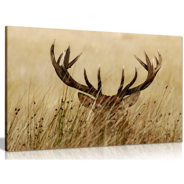 Stag In Grass Animals - Wrapped Canvas Print Panther Print Size: 51cm H x 76cm W on Productcaster.