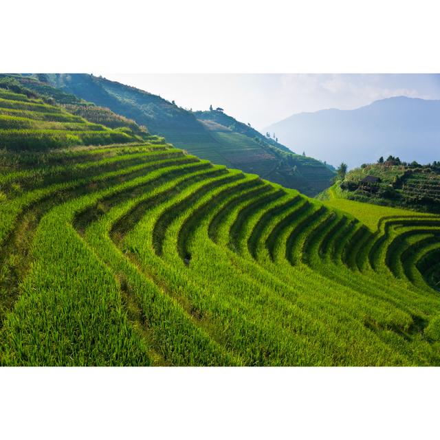 Rice Terraces Of Longji Titian Near Ping An, China by Miralex - No Frame Print on Canvas Alpen Home Size: 20cm H x 30cm W on Productcaster.