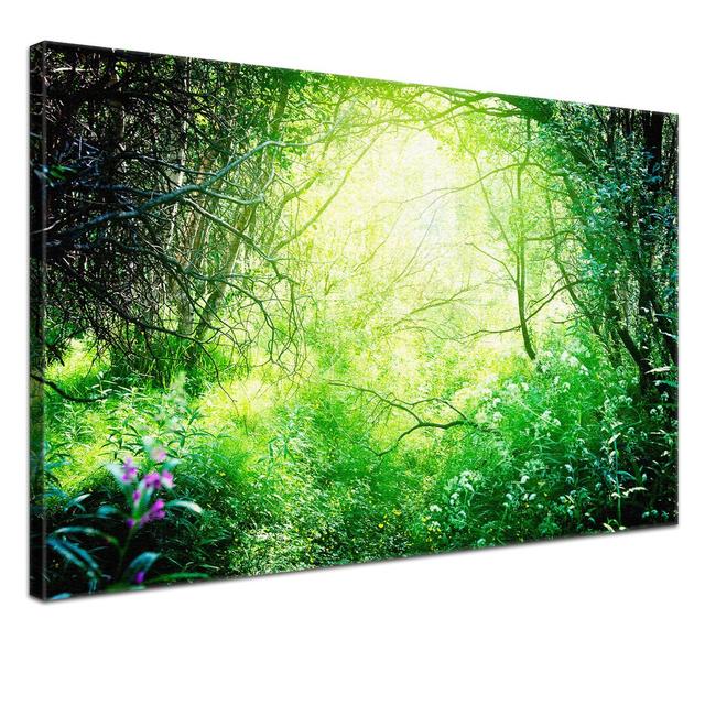 Sunlight Photographic Print on Canvas East Urban Home Size: 80cm H x 120cm W x 2cm D, Quality: Premium on Productcaster.