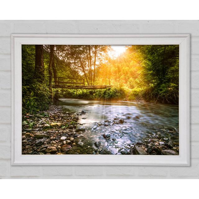 Handmade Bridge In The Woodlands - Single Picture Frame Art Prints Union Rustic Size: 42cm H x 59.7cm W x 1.5cm D on Productcaster.