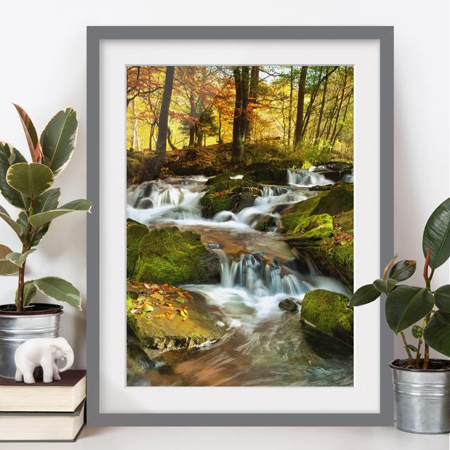 Fotodruck Waterfall in an Autumnal Forest East Urban Home Rahmenoptionen: Mattes Grau, Größe: 70 cm H x 50 cm B on Productcaster.