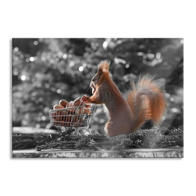 Squirrel - Photograph Unframed on Glass Maturi Size: 60cm H x 80cm W x 0.4cm D, Colour: Brown/Grey on Productcaster.