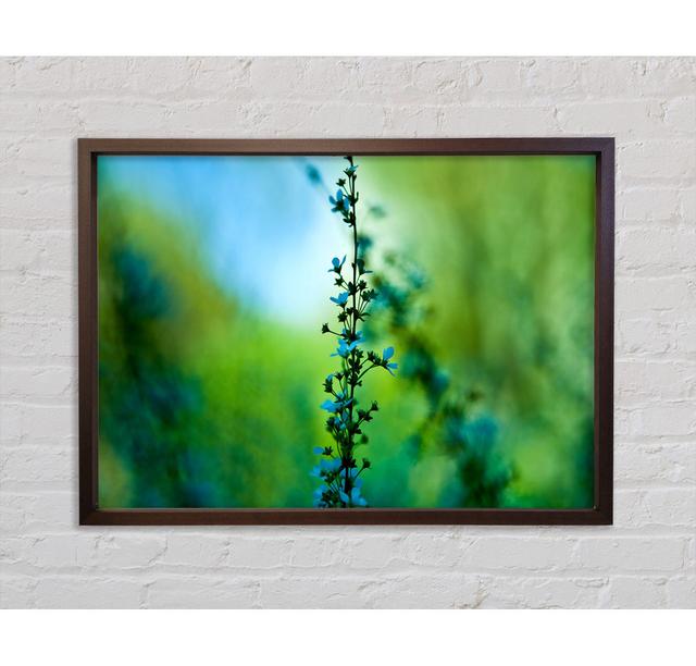 Blossom Flower - Single Picture Frame Art Prints on Canvas Bright Star Size: 100cm H x 141.4cm W x 3.3cm D on Productcaster.