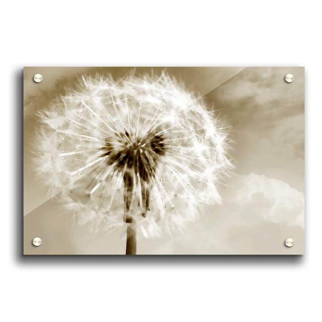 Chocolate Fairy Flowers - Unframed Photograph Print on Acrylic East Urban Home Size: 59.4cm H x 84.1cm W on Productcaster.