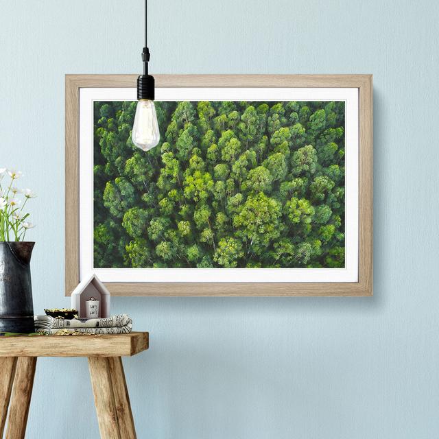 Green Tree Tops - Picture Frame Graphic Art Print East Urban Home Frame Option: Oak Framed, Size: 33cm H x 45cm W x 2cm D on Productcaster.