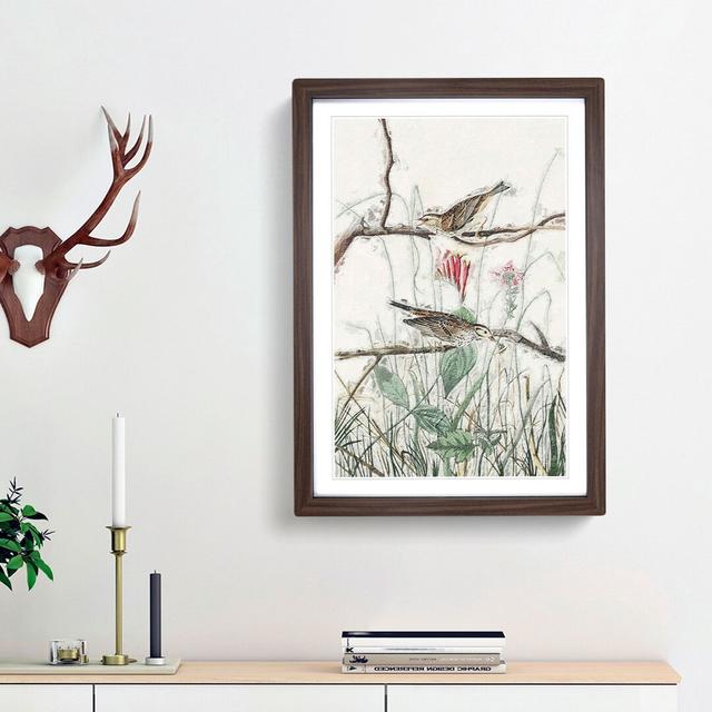 Savannah Finches by John Audubon - Picture Frame Painting Print East Urban Home Size: 65cm H x 48cm W x 2cm D, Frame Option: Walnut Framed on Productcaster.