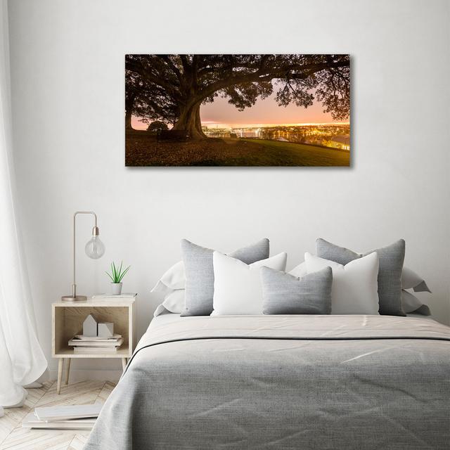 Alter Baum - Kunstdrucke auf Leinwand Ebern Designs on Productcaster.