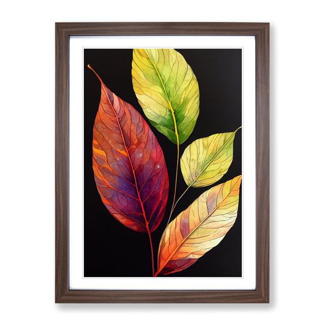 Leaves of Colour No.1 - Picture Frame Graphic Art Marlow Home Co. Size: 34cm H x 25cm W x 2cm D, Frame Colour: Walnut on Productcaster.