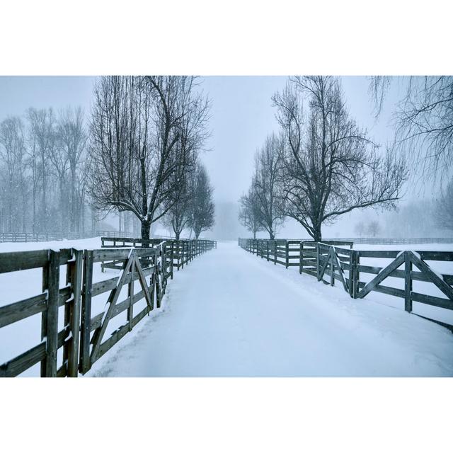 Snowy Road II by James McLoughlin - Wrapped Canvas Print Marlow Home Co. Size: 61cm H x 91cm W x 3.8cm D on Productcaster.