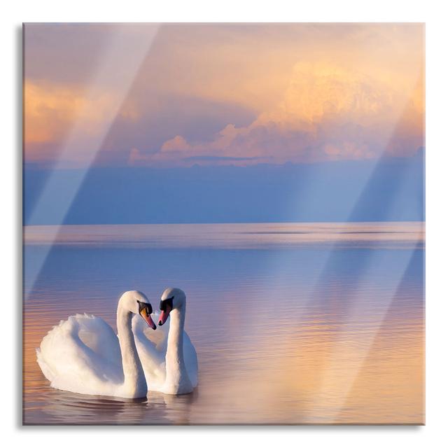 Swans At Twilight - No Frame Print on Glass Ebern Designs Size: 70cm H x 70cm W x 0.4cm D on Productcaster.