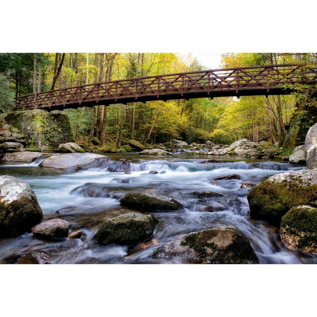 On The Rocks - Wrapped Canvas Print Union Rustic Size: 46cm H x 30cm W on Productcaster.