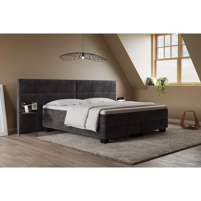 Echtes Boxspringbett Giulia mit Premium Visco Topper, mit Samtstoff bezogen Canora Grey Farbe: Anthrazit/Grau, Matratzenhärte: H2 - bis zu ca. 75 kg / on Productcaster.