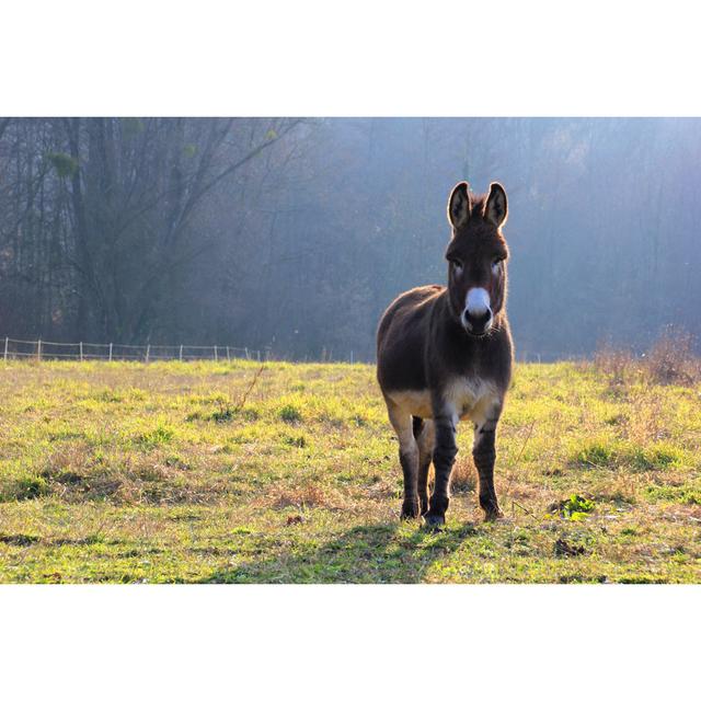 Happy Donkey by Federherz - Wrapped Canvas Print Brambly Cottage Size: 51cm H x 76cm W on Productcaster.