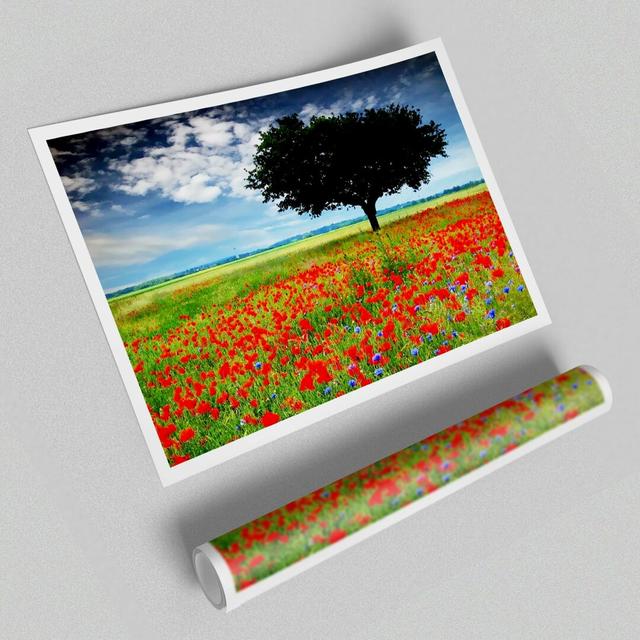 Poppy Field Tree - Photograph Print on Paper East Urban Home Size: 84.1cm H x 118.9cm W x 1cm D on Productcaster.