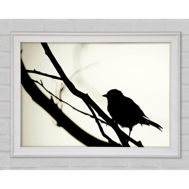 Birds Pirch - Single Picture Frame Art Prints Ophelia & Co. Size: 29.7cm H x 42cm W x 1.5cm D on Productcaster.