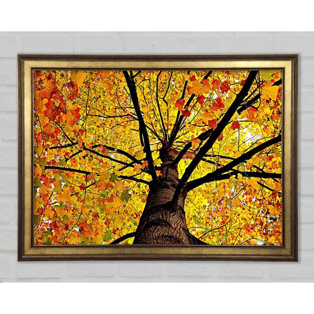 Yellow Autumn Tree - Single Picture Frame Art Prints Marlow Home Co. Size: 59.7cm H x 84.1cm W x 1.5cm D on Productcaster.