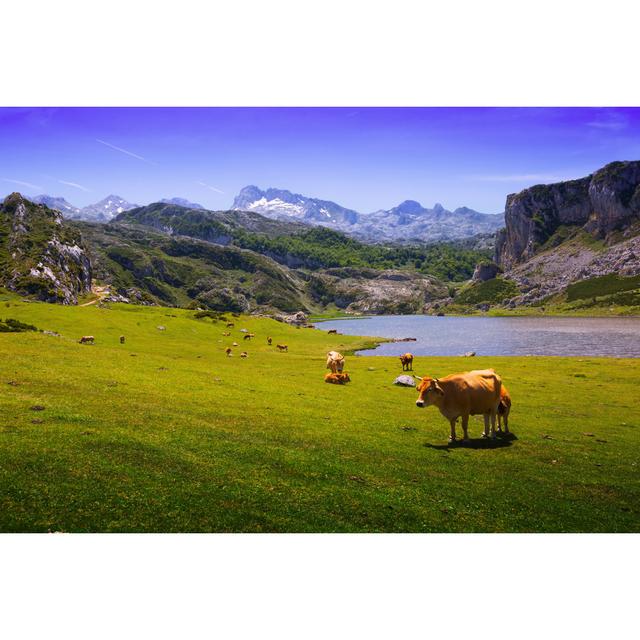 Summer Mountains With Lake by JackF - Wrapped Canvas Print Alpen Home Size: 30cm H x 46cm W on Productcaster.