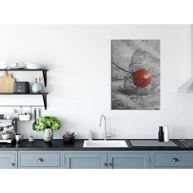 Delicious Physalis In A Bowl - No Frame Print on Glass Brayden Studio Size: 70cm H x 100cm W on Productcaster.