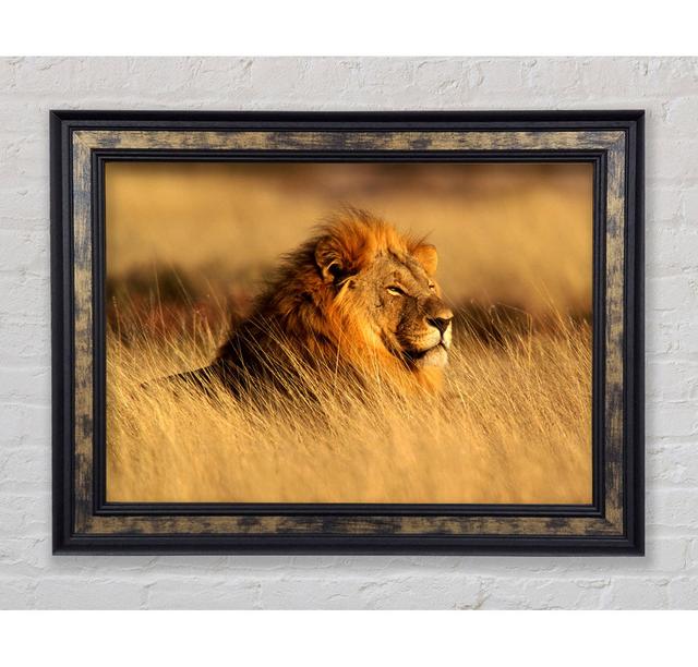 Pride Of The Jungle - Single Picture Frame Art Prints Bright Star Size: 100cm H x 141.4cm W x 8cm D on Productcaster.