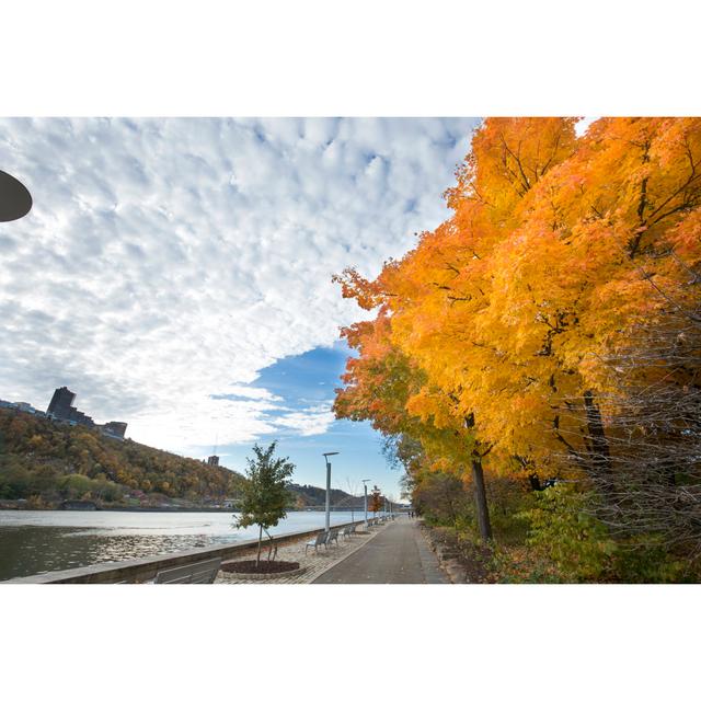 Berthoud Point State Park In Pittsburgh - Wrapped Canvas Photograph Alpen Home Size: 51cm H x 76cm W x 3.8cm D on Productcaster.