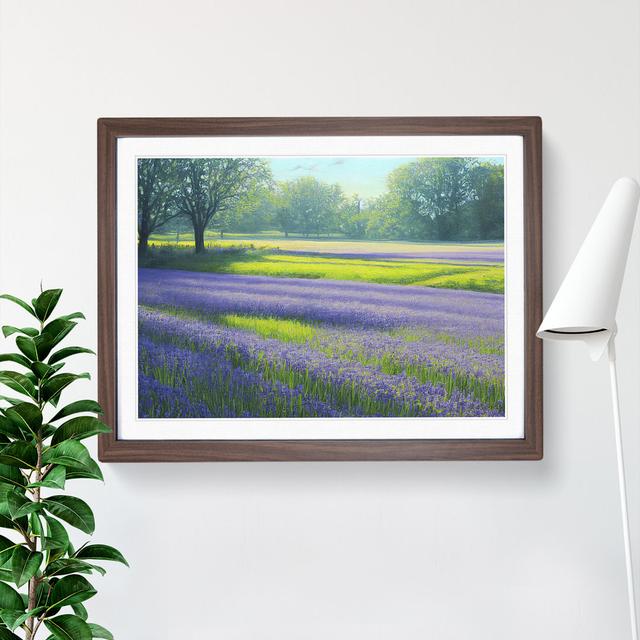 Exceptional Bluebell Field - Picture Frame Photograph Marlow Home Co. Size: 46cm H x 64cm W x 2cm D, Frame Colour: Walnut on Productcaster.