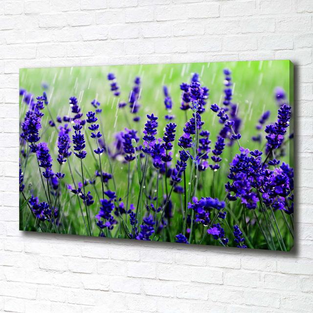 Lavender - Wrapped Canvas Art Prints Ophelia & Co. on Productcaster.