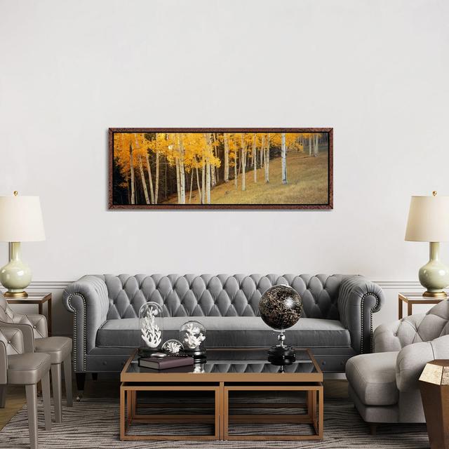 Aspen Trees In A Field, Ouray County, Colorado, USA by Panoramic Images - Floater Frame Panoramic Gallery-Wrapped Canvas Giclée on Canvas Union Rustic on Productcaster.