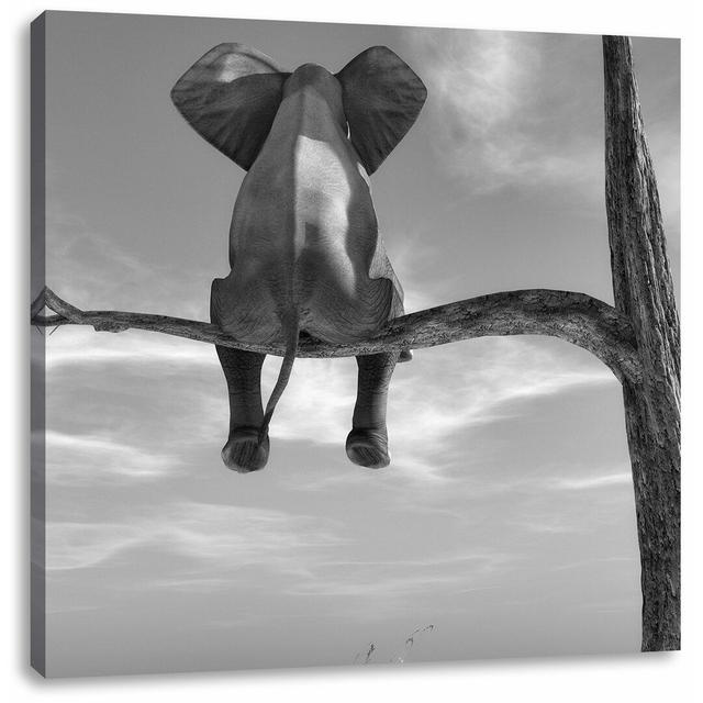 Leinwandbild Sitzender Elefant auf einem Ast in der Wüste East Urban Home Größe: 60 cm H x 60 cm B on Productcaster.