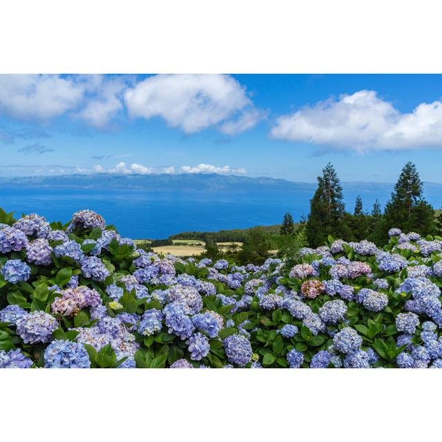 Conover Azorean Landscape With Hydrangeas - Wrapped Canvas Photograph Latitude Run Size: 51cm H x 76cm W x 3.8cm D on Productcaster.