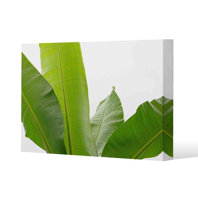 Green Leaves on White - Wrapped Canvas Art Prints Pergo Classics Size: 76cm H x 101cm W x 4cm D on Productcaster.