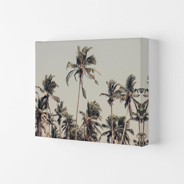 Palm Trees on the Beach by Victoria Frost - Photograph Bay Isle Home Size: 59.4cm H x 84cm W x 4cm D, Format: Wrapped Canvas on Productcaster.