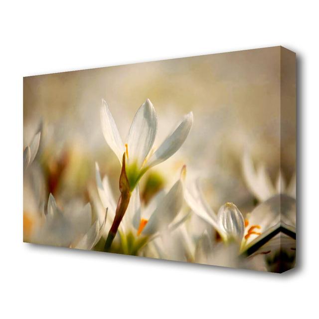 Snow Drops In Bloom Flowers Canvas Print Wall Art East Urban Home Size: 81.3 cm H x 121.9 cm W on Productcaster.