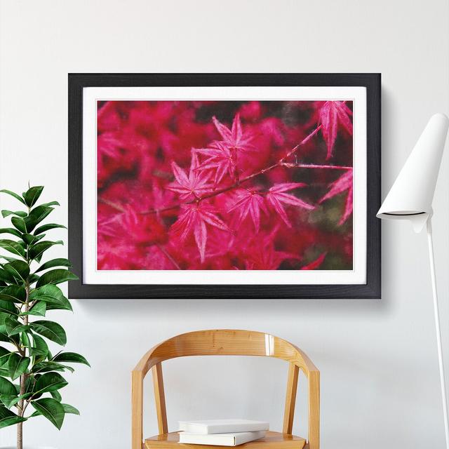 Japanese Maple Tree - Picture Frame Painting East Urban Home Size: 48cm H x 65cm W x 2cm D, Frame Option: Black on Productcaster.