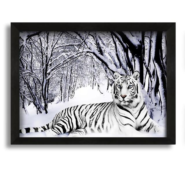 White Tiger in the Snow - Picture Frame Photograph on Canvas Latitude Run Size: 42cm H x 60cm W x 10cm D on Productcaster.