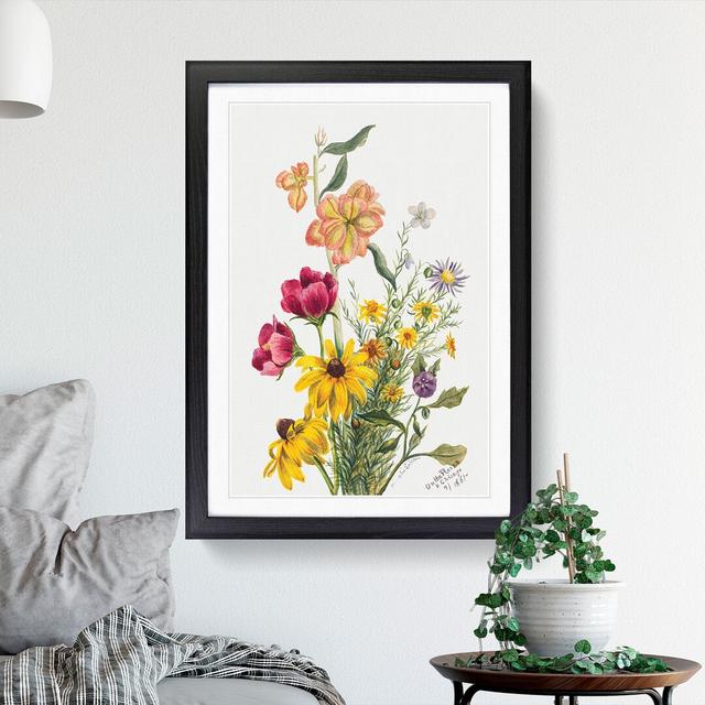 Group of Flowers Vol.1 by Mary Vaux Walcott - Picture Frame Painting East Urban Home Size: 65cm H x 48cm W x 2cm D, Frame Option: Black Framed on Productcaster.