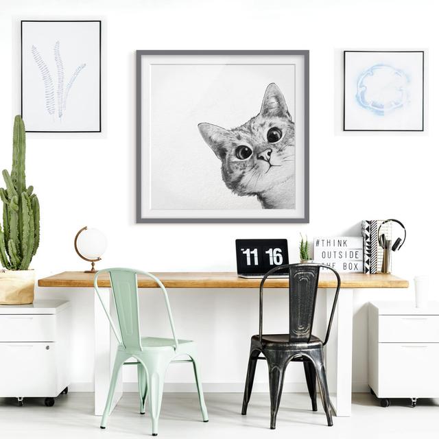 Gerahmtes Poster Illustration Cat Drawing Black White ClassicLiving Rahmenauswahl: Grau gerahmt on Productcaster.