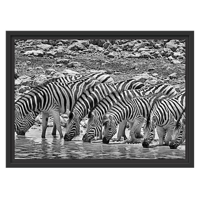 Gerahmtes Wandbild Zebraherde am Wasserloch East Urban Home Größe: 40 cm H x 55 cm B on Productcaster.