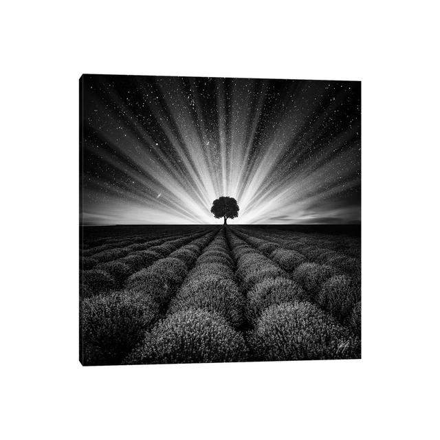 Illuminated Horizon I by Kathrin Federer - Wrapped Canvas Photograph Fleur De Lis Living Size: 45.72cm H x 45.72cm W x 3.81cm D on Productcaster.