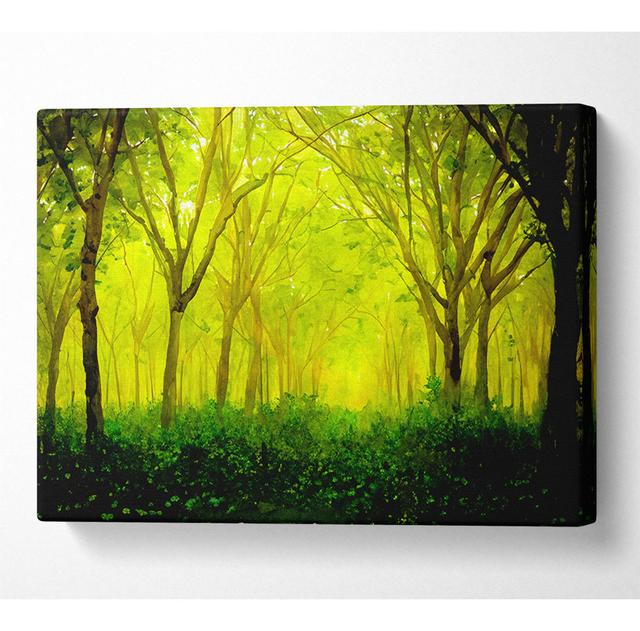 Stunning Green Forest - Wrapped Canvas Art Prints Alpen Home Size: 66cm H x 106.6cm W on Productcaster.