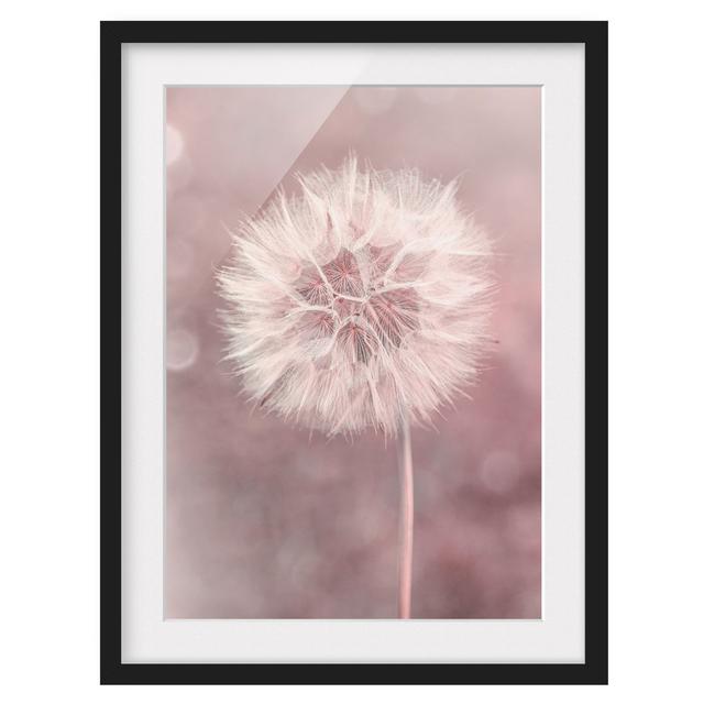 Dandelion Bokeh Pink - Picture Frame Graphic Art Rosalind Wheeler Size: 100cm H x 70cm W x 2cm D, Frame Option: Black on Productcaster.