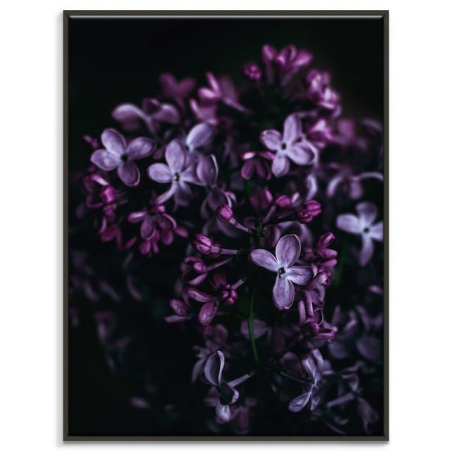 'Colour of the Year' Framed Photograph on Canvas East Urban Home Size: 102cm H x 76cm W, Format: Black Floater Frame on Productcaster.