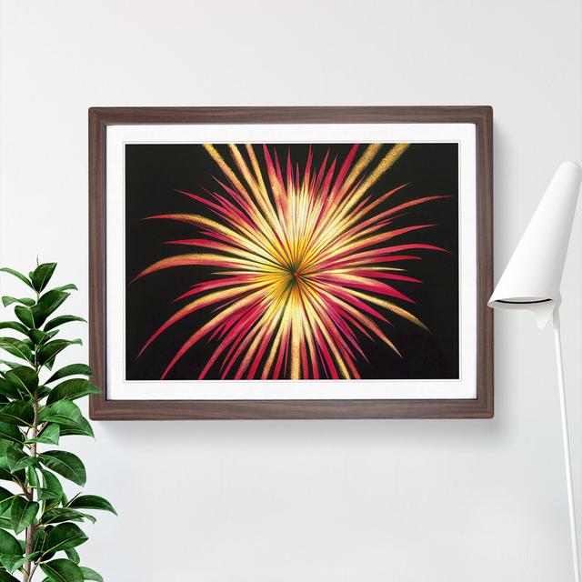 Glowing Fireworks - Single Picture Frame Print ClassicLiving Size: 46cm H x 64cm W x 2cm D, Frame Option: Walnut on Productcaster.